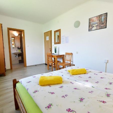 House Bicanic سيليست دريزنيكو المظهر الخارجي الصورة