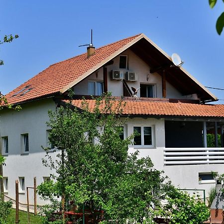 House Bicanic سيليست دريزنيكو المظهر الخارجي الصورة