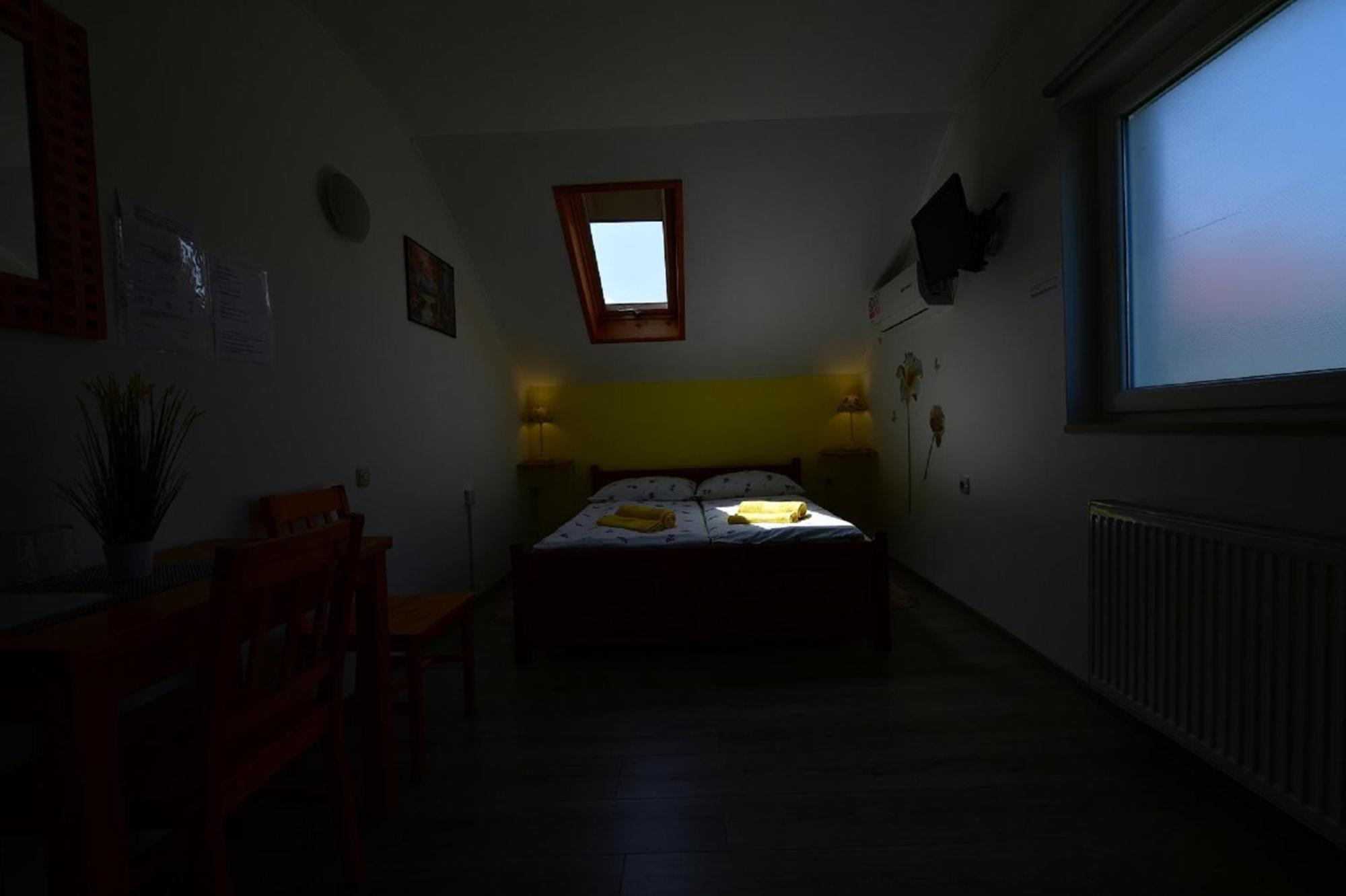 House Bicanic سيليست دريزنيكو المظهر الخارجي الصورة
